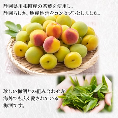 高砂 山廃お茶梅酒 500ml