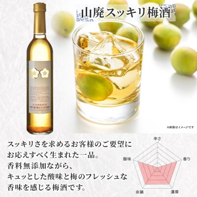 高砂 梅酒2種セット 500ml×各1本