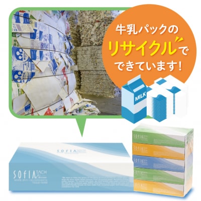 マスコー製紙 ソフィアタッチ エテルノ ティッシュペーパー 150組×5箱×6パック (30箱)