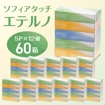 マスコー製紙 ソフィアタッチ エテルノ ティッシュペーパー 150組×5箱×12パック (60箱)