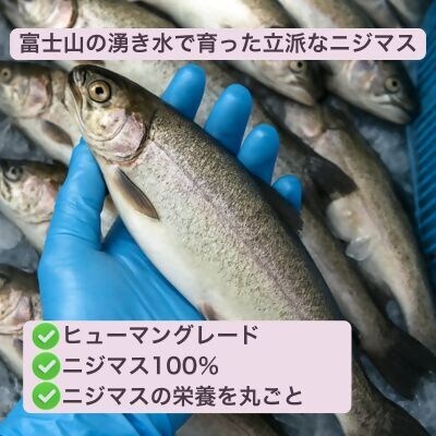 WILD KITCHEN 犬猫用ニジマスジャーキー ジャンボパック (ぶつ切り100g)