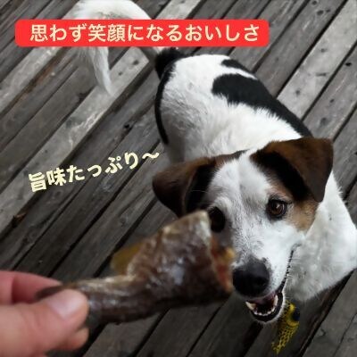 WILD KITCHEN 犬猫用ニジマスジャーキー 粉末タイプ (ふりかけ)