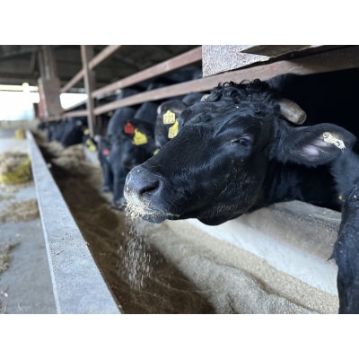 富士山竹川牛 サーロインステーキ 165g×1枚