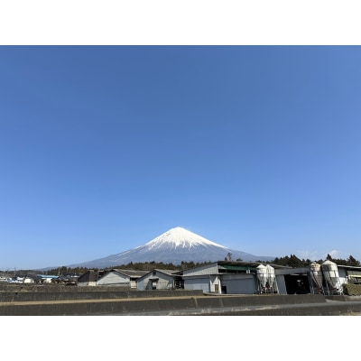 富士山竹川牛 サーロインステーキ 165g×1枚