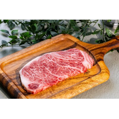 富士山竹川牛 サーロインステーキ 165g×1枚 & リブロース焼肉 195g