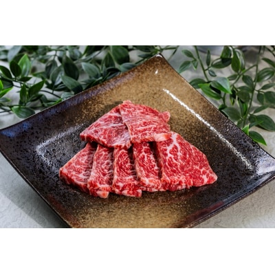 富士山竹川牛 サーロインミニステーキ100g & ヒレ120g×1枚 & リブロース焼肉200g