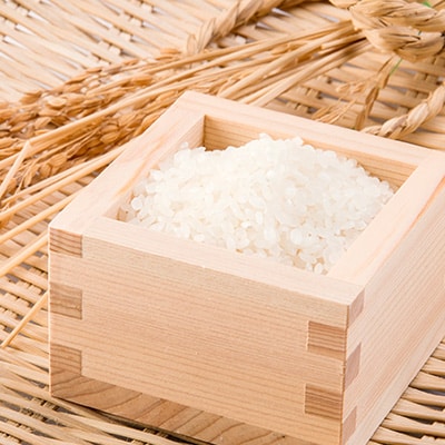 【令和6年産】コシヒカリ・ヒノヒカリ食べ比べセット 計8kg