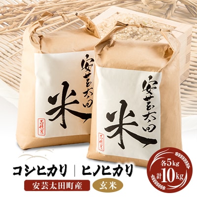 【令和6年産】コシヒカリ・ヒノヒカリ玄米食べ比べセット　計10kg