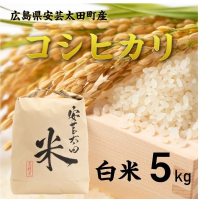 【令和8年産】コシヒカリ　白米5kg
