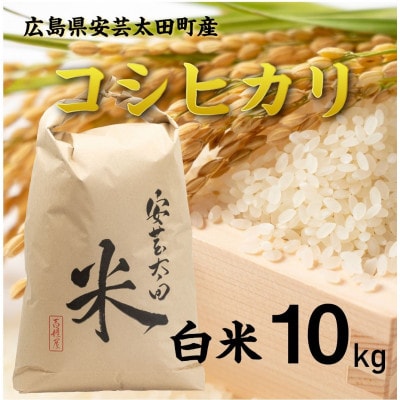 【令和8年産】コシヒカリ　白米10kg
