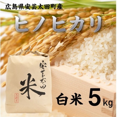 【令和8年産】ヒノヒカリ　白米5kg