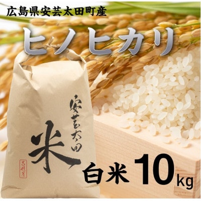 【令和8年産】ヒノヒカリ　白米10kg