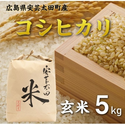 【令和8年産】コシヒカリ　玄米5kg