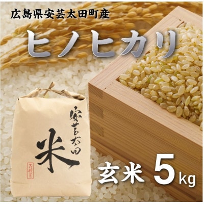 【令和8年産】ヒノヒカリ　玄米5kg