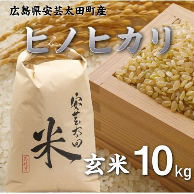 【令和8年産】ヒノヒカリ　玄米10kg