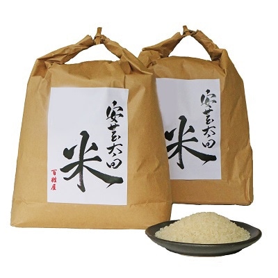 2021年2月発送開始『定期便』令和2年産コシヒカリ・ヒノヒカリ食べ比べセット計8kg  全3回