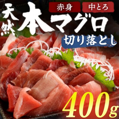【遠洋漁船高豊丸漁獲】天然本マグロ(赤身・中とろ)切落し400g　訳アリ　魚介類加工品 | ふるさと納税のお礼品