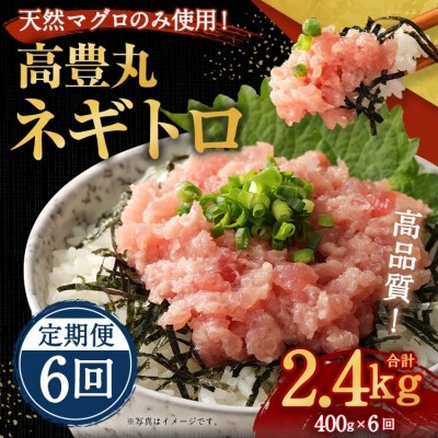 高豊丸ネギトロ400g【6回定期便】