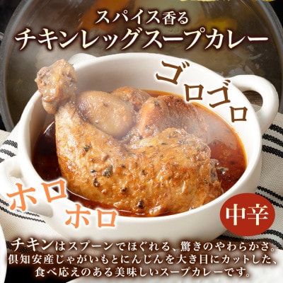 チキンが丸ごと1本入ったスープカレー 中辛 300g×10個