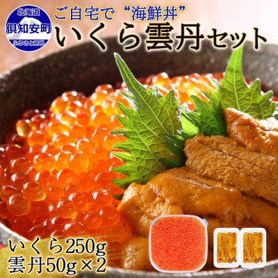いくら醤油漬け250g&雲丹計100g  海鮮2色丼セット 北海道 倶知安町