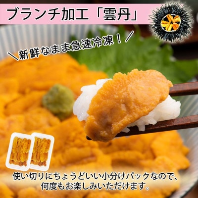 いくら醤油漬け250g&雲丹計100g  海鮮2色丼セット 北海道 倶知安町