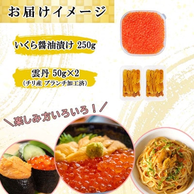 いくら醤油漬け250g&雲丹計100g  海鮮2色丼セット 北海道 倶知安町