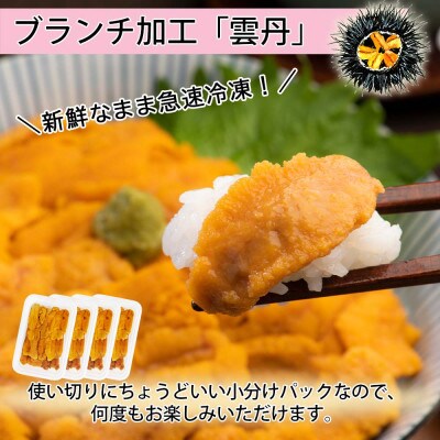 いくら醤油漬け250g&雲丹計200g 海鮮2色丼セット 北海道 倶知安