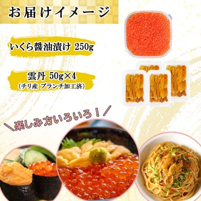 いくら醤油漬け250g&雲丹計200g 海鮮2色丼セット 北海道 倶知安