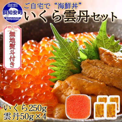 【無地熨斗付き】いくら醤油漬け250g&雲丹計200g 海鮮2色丼セット 北海道 倶知安町