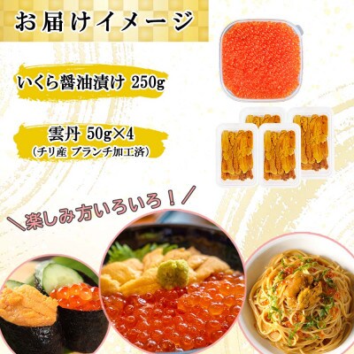 【無地熨斗付き】いくら醤油漬け250g&雲丹計200g 海鮮2色丼セット 北海道 倶知安町