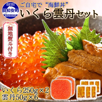 【無地熨斗付き】いくら醤油漬け 計500g&雲丹 計300g  海鮮2色丼セット 北海道 倶知安町