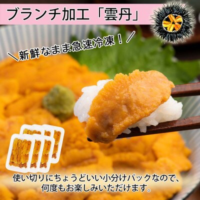 【無地熨斗付き】いくら醤油漬け 計500g&雲丹 計300g  海鮮2色丼セット 北海道 倶知安町