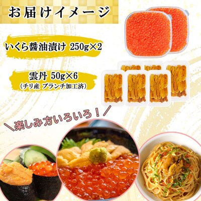 【無地熨斗付き】いくら醤油漬け 計500g&雲丹 計300g  海鮮2色丼セット 北海道 倶知安町