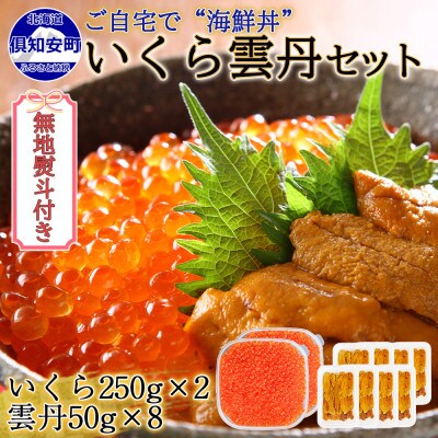 【無地熨斗付き】いくら醤油漬け 計500g&雲丹 計400g  海鮮2色丼セット 北海道 倶知安町