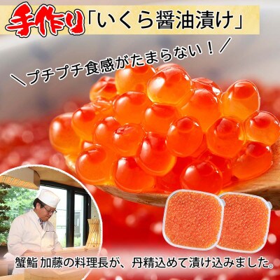 【無地熨斗付き】いくら醤油漬け 計500g&雲丹 計400g  海鮮2色丼セット 北海道 倶知安町
