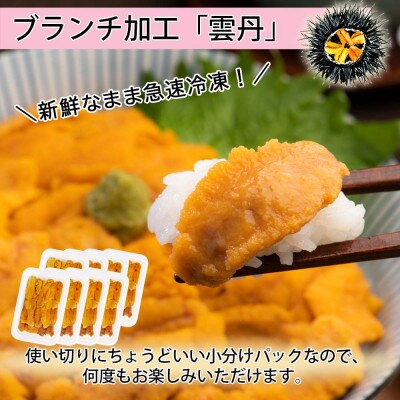 【無地熨斗付き】いくら醤油漬け 計500g&雲丹 計400g  海鮮2色丼セット 北海道 倶知安町