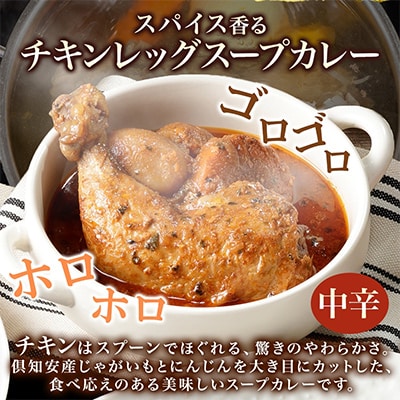 【無地熨斗付き】チキンが丸ごと1本入ったスープカレー 中辛 300g×3個