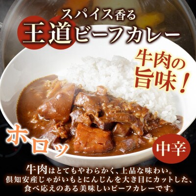 【無地熨斗付き】倶知安野菜のほろほろビーフカレー 中辛 200g×10個