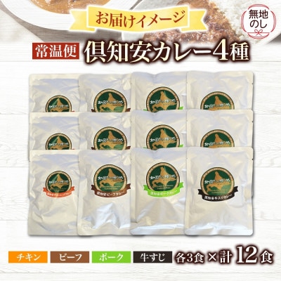 【無地熨斗付き】倶知安野菜のカレー食べ比べ4種セット 中辛 12個