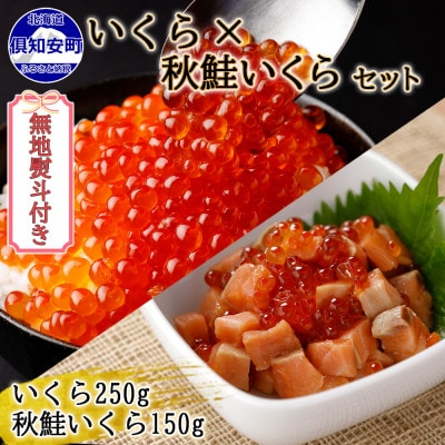 【無地熨斗付き】いくら醤油漬け 250g & 秋鮭いくら 150g セット 北海道 倶知安町
