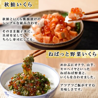 いくら入り海鮮漬け食べ比べ4種 松前漬け 帆立 秋鮭 ねばっと野菜 4種 各1個 北海道 倶知安町