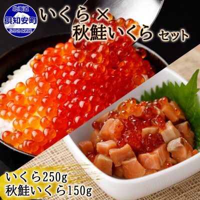 北海道産「いくら醤油漬け」250g & 「秋鮭いくら」150g セット 北海道 倶知安町