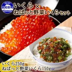 北海道産「いくら醤油漬け」250g &amp;「ねばっと野菜いくら」150g セット 北海道 倶知安町