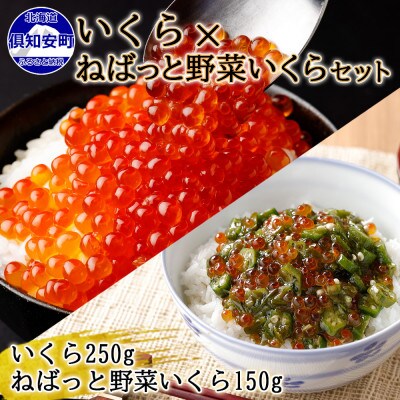 北海道産「いくら醤油漬け」250g &「ねばっと野菜いくら」150g セット 北海道 倶知安町