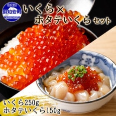 北海道産「いくら醤油漬け」250g&amp;「ホタテいくら」150g セット 北海道 倶知安町