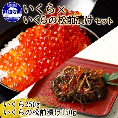 北海道産「いくら醤油漬け」250g&「いくらの松前漬け」150g セット 北海道 倶知安町