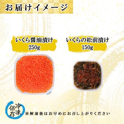 北海道産「いくら醤油漬け」250g&「いくらの松前漬け」150g セット 北海道 倶知安町