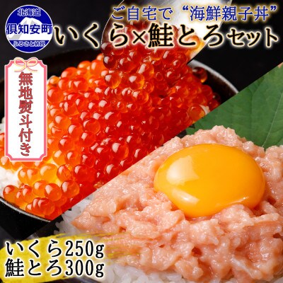 【無地熨斗付き】いくら醤油漬け 250g&鮭とろ 300g 海鮮親子丼 セット 北海道 倶知安町