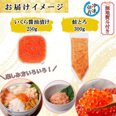【無地熨斗付き】いくら醤油漬け 250g&鮭とろ 300g 海鮮親子丼 セット 北海道 倶知安町