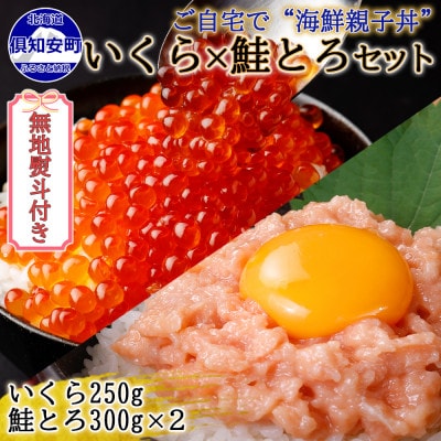 【無地熨斗付き】いくら醤油漬け250g&鮭とろ300g×2個 計3個 セット 北海道 倶知安町